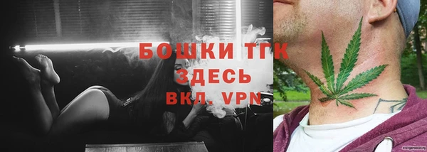ГАЛЛЮЦИНОГЕННЫЕ ГРИБЫ Магас