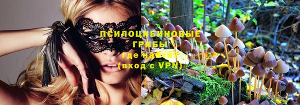 ГАЛЛЮЦИНОГЕННЫЕ ГРИБЫ Магас
