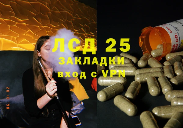 ГАЛЛЮЦИНОГЕННЫЕ ГРИБЫ Магас