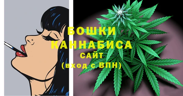 шишки Магадан